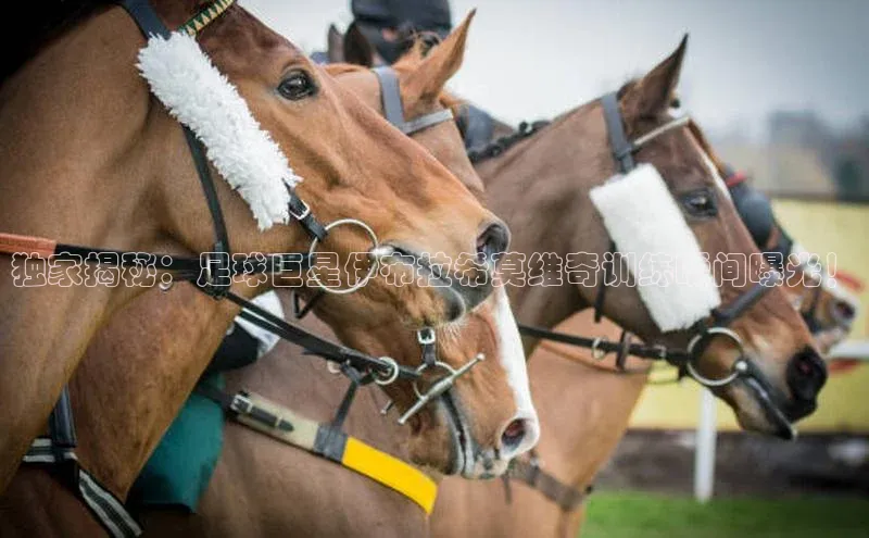 恒行6平台注册账号入口百度百聘独家揭秘：足球巨星伊布拉希莫维奇训练瞬间曝光！