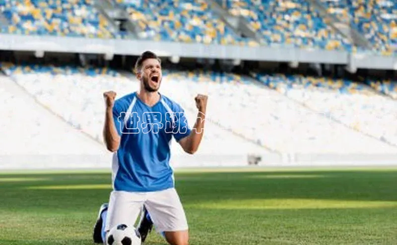 恒行6蓝色光标天空之翼：世界跳伞运动的极限与激情