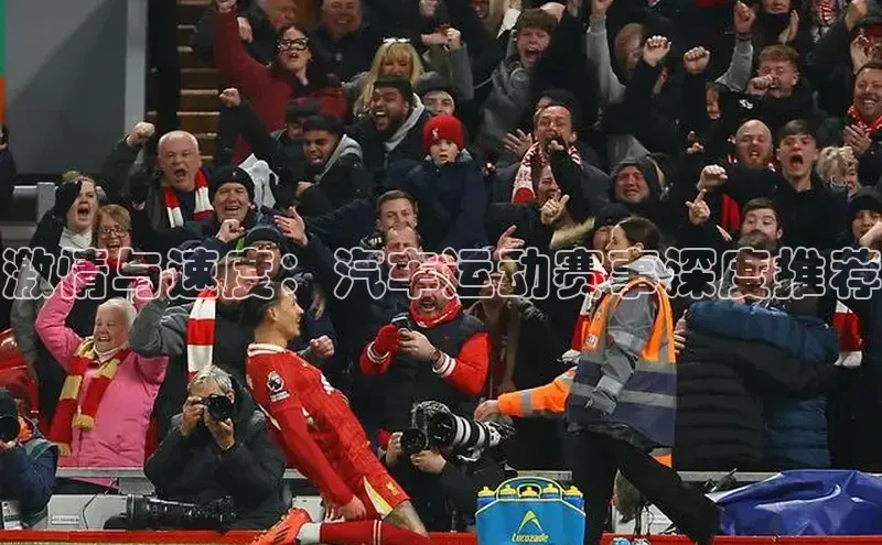 激情与速度：汽车运动赛事深度推荐