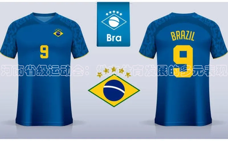 河南省级运动会：地方体育发展的多元表现