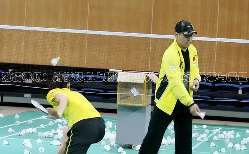 激情赛场：为梦想插上翅膀——残疾人运动赛事与展望