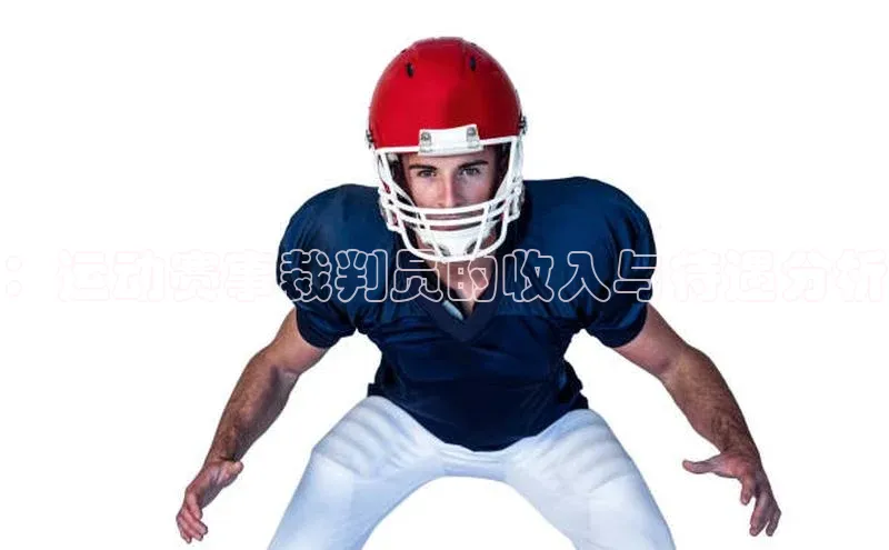 ：运动赛事裁判员的收入与待遇分析