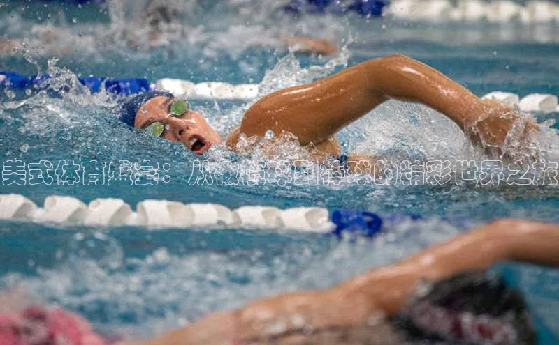 美式体育盛宴：从橄榄球到棒球的精彩世界之旅