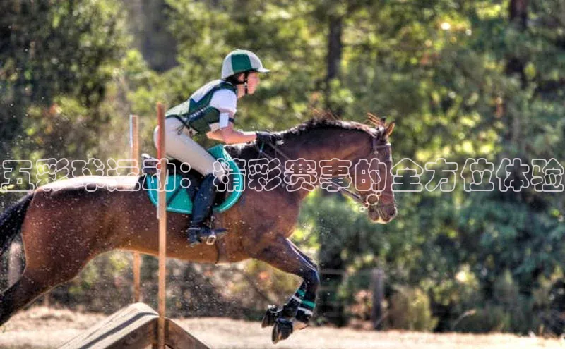 五彩球运动：精彩赛事的全方位体验