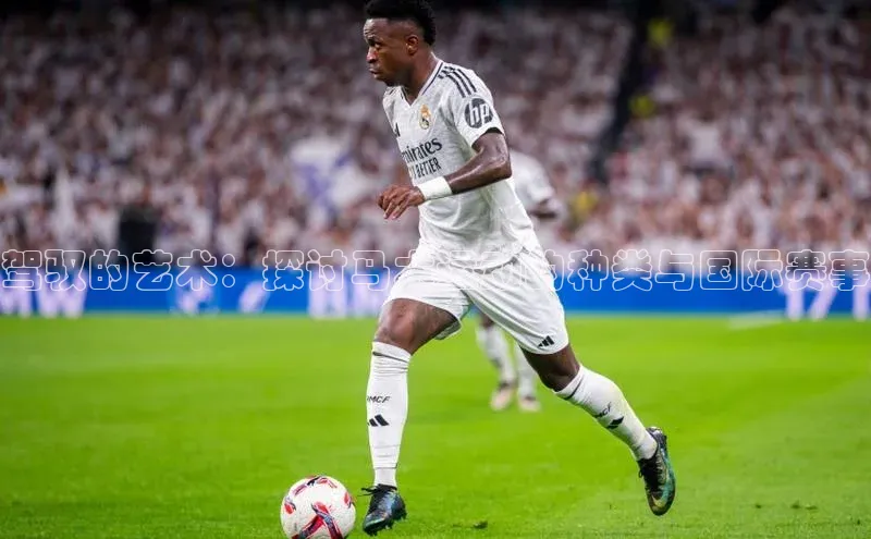 驾驭的艺术：探讨马术运动的种类与国际赛事