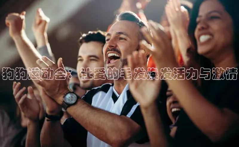 狗狗运动会：让爱的毛发焕发活力与激情