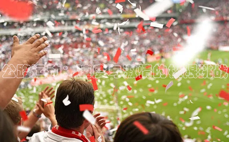 公路运动：速度与激情的极限挑战