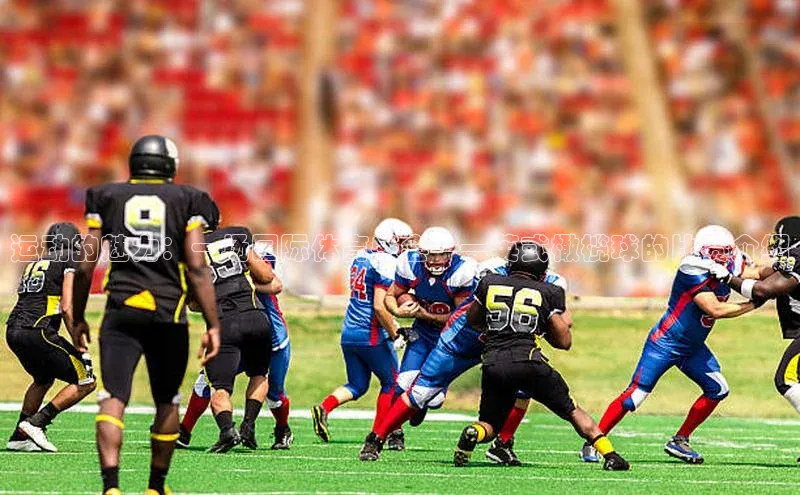 运动的魅力：一场国际体育盛会——英式橄榄球的比赛介绍