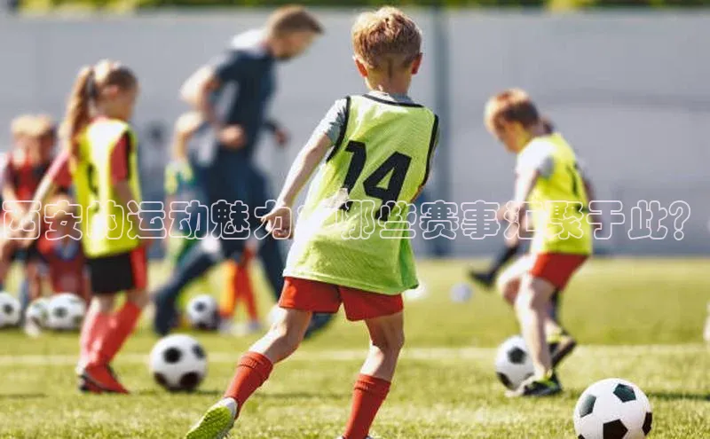 西安的运动魅力：哪些赛事汇聚于此？