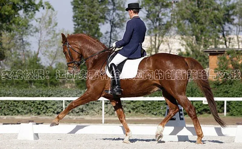 突破极限：运动赛事补给供应商的创新策略与实践