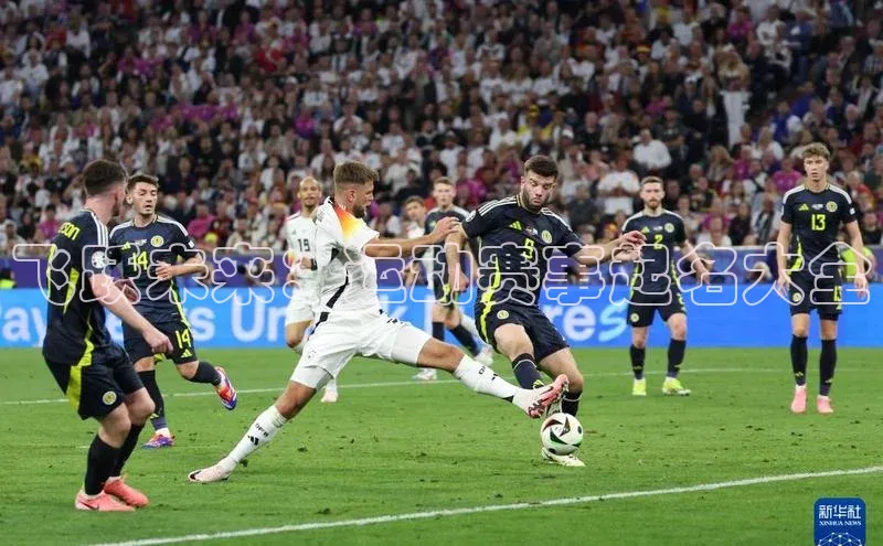 飞跃未来：运动赛事起名大全