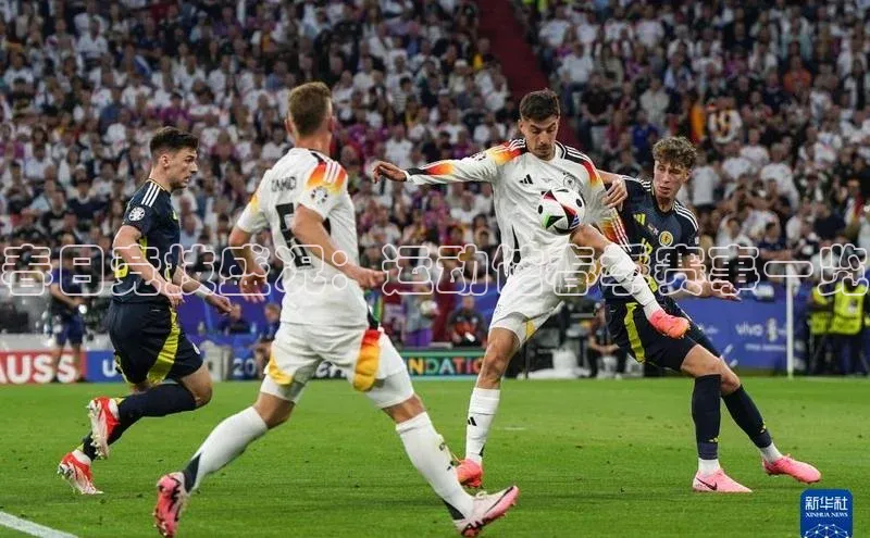 春日竞技盛况：运动馆春季赛事一览