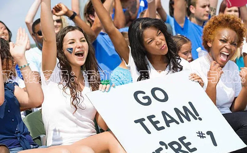 飞跃绿茵场：运动赛事用地的未来与挑战