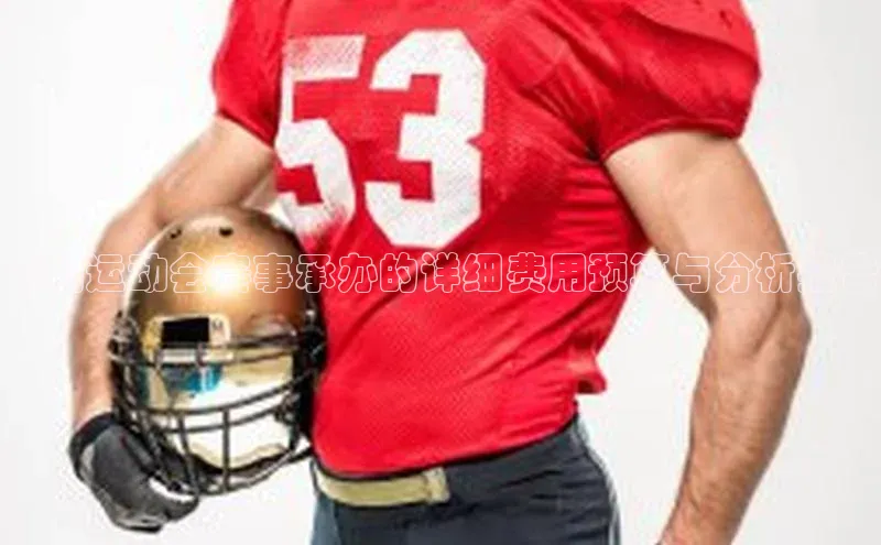 昆明运动会赛事承办的详细费用预算与分析报告