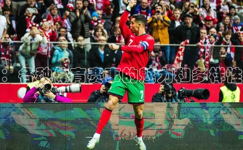 ：各种体育赛事的魅力和多样性